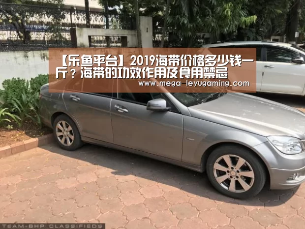 【乐鱼平台】2019海带价格多少钱一斤?海带的功效作用及食用禁忌(图1) 体育娱乐