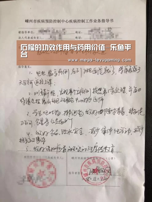 乐鱼app手机版下载