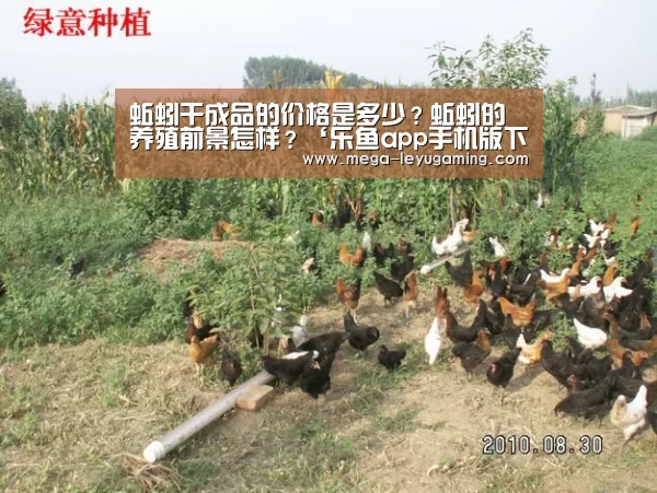 乐鱼app手机版下载