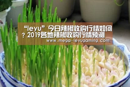 “leyu”今日辣椒收购行情如何？2019各地辣椒收购行情预测(图2)