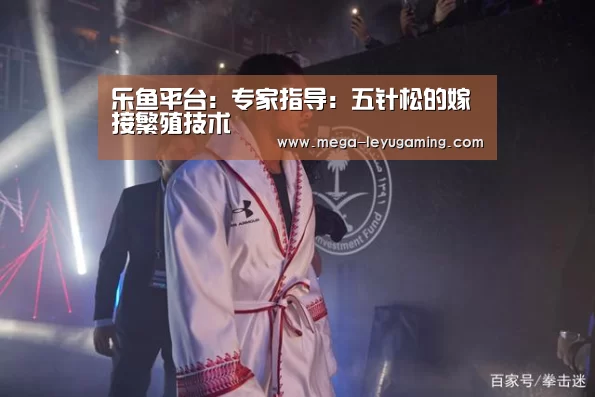 乐鱼平台:专家指导:五针松的嫁接繁殖技术(图1) 乐鱼平台:专家指导:五针松的嫁接繁殖技术(图1)