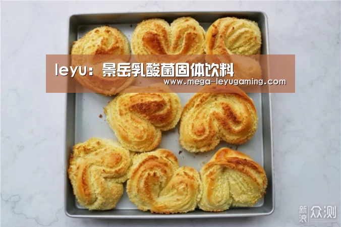 leyu:景岳乳酸菌固体饮料(图2) leyu:景岳乳酸菌固体饮料(图2)